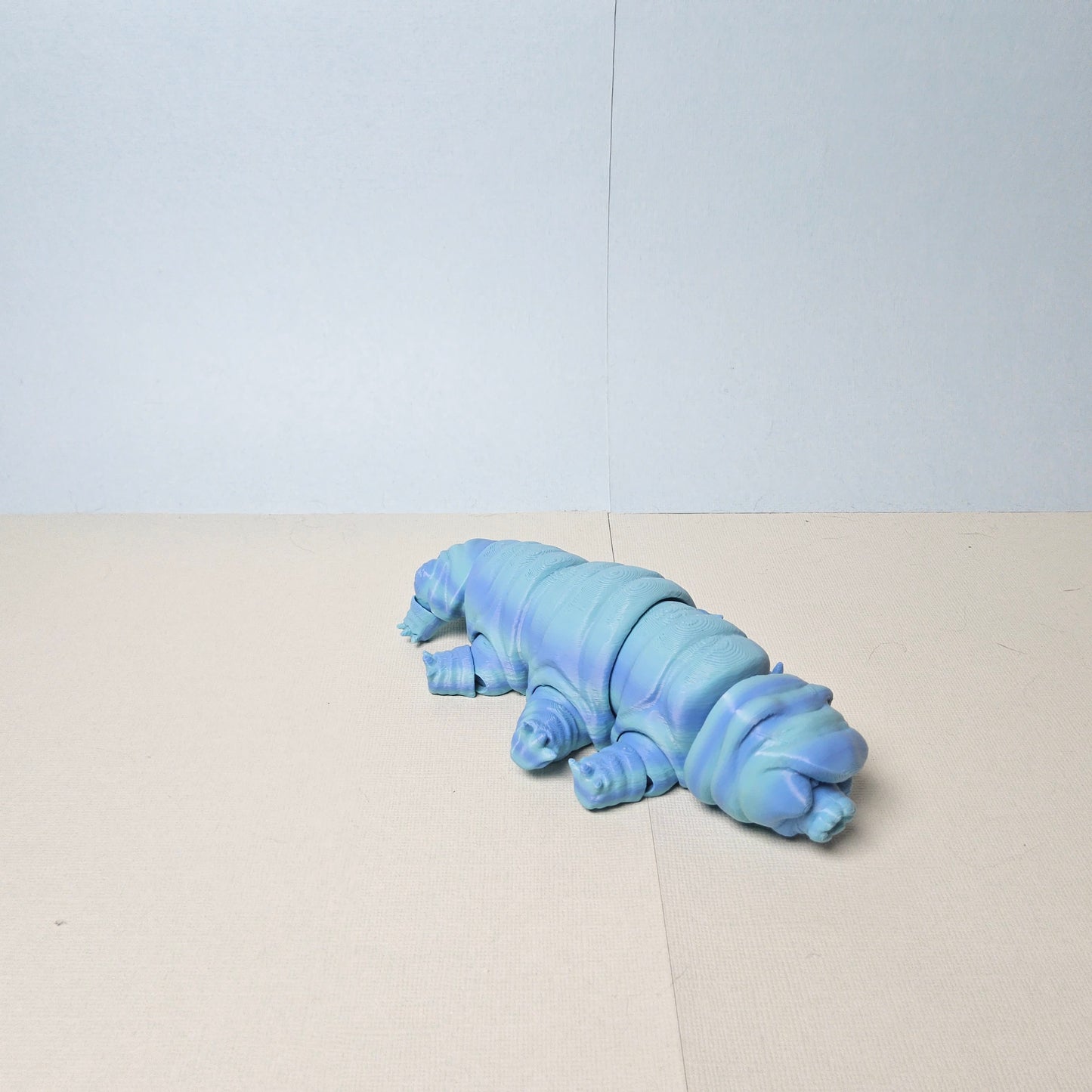 Small Tardigrade